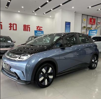 Byd Dolphin 2023/401KM Knight edition
