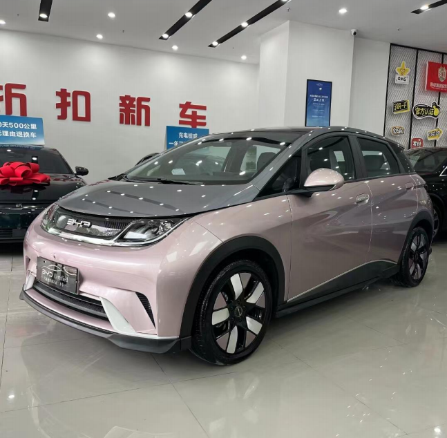 Byd Dolphin 2021/401KM Knight edition